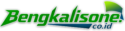 https://www.bengkalisone.co.id/